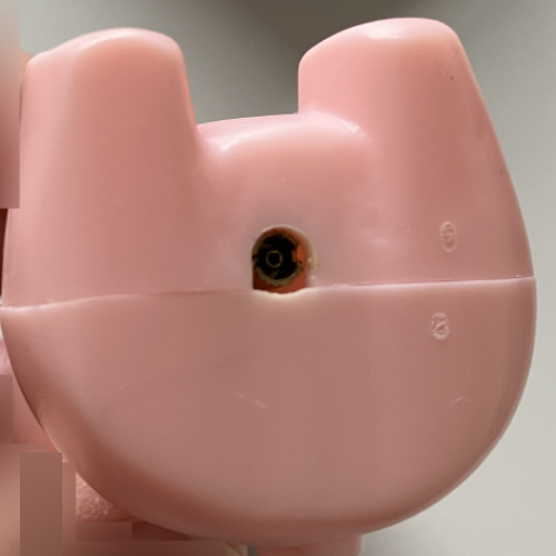 JINLINGNB Pig / Schwein: Foto 1 von 4 zur Produktwarnung vom 30.10.2026