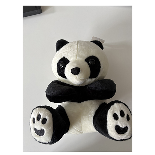 Panda plush toy Plüschtier Panda: Foto 2 von 4 zur Rückruf vom 05.09.2025